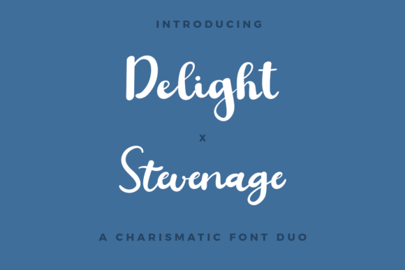 The Perfect Pair: Why Designers Adore the Delight X Stevenage Font Duo